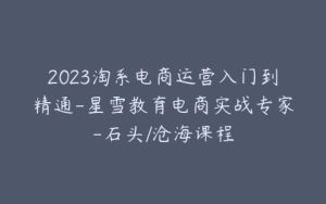 2023淘系电商运营入门到精通-星雪教育电商实战专家-石头/沧海课程-宝藏资源殿