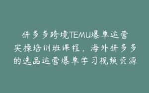 拼多多跨境TEMU爆单运营实操培训班课程,海外拼多多的选品运营爆单学习视频资源-宝藏资源殿