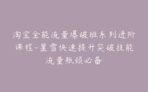 淘宝全能流量爆破班系列进阶课程-星雪快速提升突破技能流量瓶颈必备-宝藏资源殿