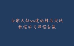 谷歌大叔seo建站排名实战教程学习课程合集-宝藏资源殿