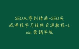 SEO从零到精通-SEO实战课程学习视频资源教程-Leizi 营销学院-宝藏资源殿