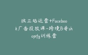 独立站运营+Facebook广告投放课-跨境B哥shopify训练营-宝藏资源殿