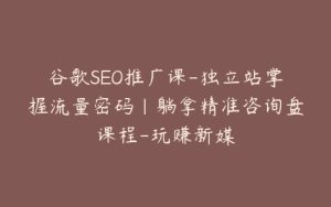 谷歌SEO推广课-独立站掌握流量密码|躺拿精准咨询盘课程-玩赚新媒-宝藏资源殿
