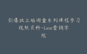 引爆独立站询盘系列课程学习视频资料-Leizi营销学院-宝藏资源殿