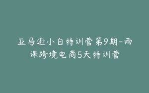 亚马逊小白特训营第9期-雨课跨境电商5天特训营-宝藏资源殿