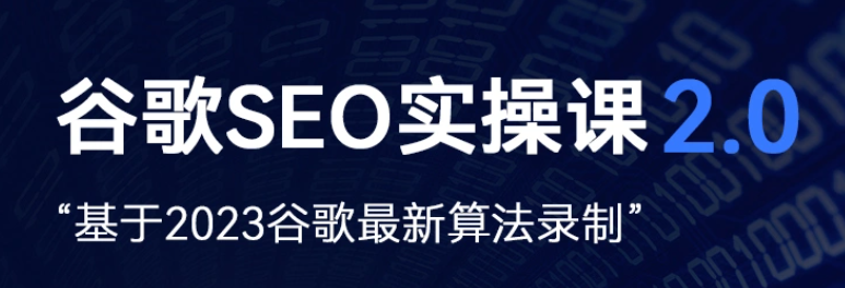 图片[1]-谷歌SEO2.0实战课-独立站询盘自由必备-Leizi 营销学院2023课程-宝藏资源殿