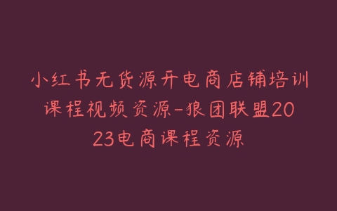 小红书无货源开电商店铺培训课程视频资源-狼团联盟2023电商课程资源-宝藏资源殿