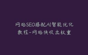 网站SEO搭配AI智能优化教程-网站快收出权重-宝藏资源殿