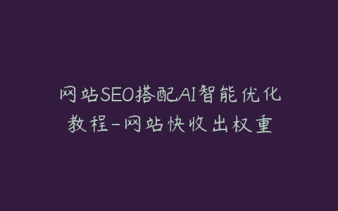 网站SEO搭配AI智能优化教程-网站快收出权重-宝藏资源殿