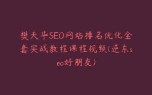 樊天华SEO网站排名优化全套实战教程课程视频(逆东seo好朋友)-宝藏资源殿