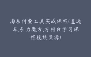 淘系付费工具实战课程(直通车,引力魔方,万相台学习课程视频资源)-宝藏资源殿