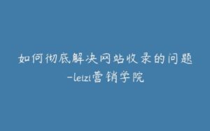 如何彻底解决网站收录的问题-leizi营销学院-宝藏资源殿