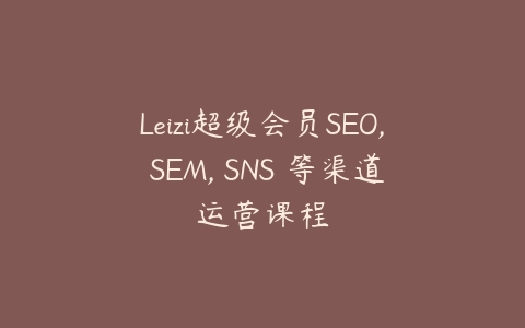 Leizi超级会员SEO, SEM, SNS 等渠道运营课程-宝藏资源殿