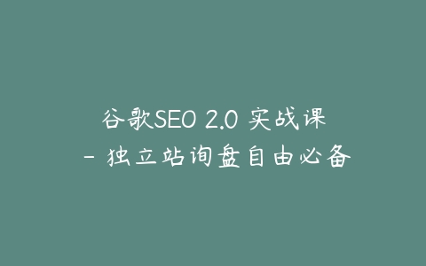 谷歌SEO2.0实战课-独立站询盘自由必备-Leizi 营销学院2023课程-宝藏资源殿