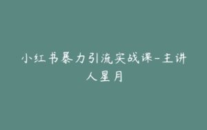 小红书暴力引流实战课-主讲人星月-宝藏资源殿