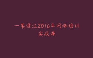 一苇渡江2016年网络培训实战课-宝藏资源殿
