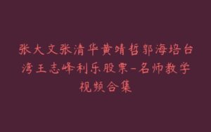 张大文张清华黄靖哲郭海培台湾王志峰利乐股票-名师教学视频合集-宝藏资源殿