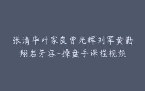 张清华叶家良曾光辉刘军黄勤翔岩芳容-操盘手课程视频-宝藏资源殿