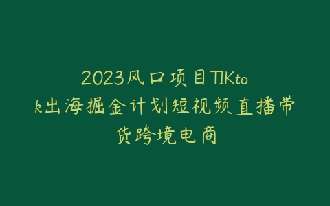 2023风口项目TIKtok出海掘金计划短视频直播带货跨境电商-宝藏资源殿