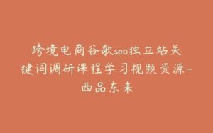 跨境电商谷歌seo独立站关键词调研课程学习视频资源-西品东来-宝藏资源殿