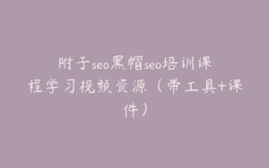 附子seo黑帽seo培训课程学习视频资源(带工具+课件)-宝藏资源殿