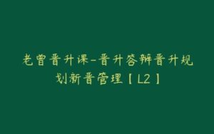 老曾晋升课-晋升答辩晋升规划新晋管理【L2】-宝藏资源殿