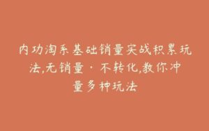 内功淘系基础销量实战积累玩法,无销量·不转化,教你冲量多种玩法-宝藏资源殿