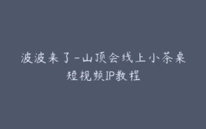 波波来了-山顶会线上小茶桌短视频IP教程-宝藏资源殿