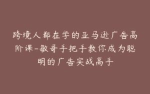 跨境人都在学的亚马逊广告高阶课-敏哥手把手教你成为聪明的广告实战高手-宝藏资源殿