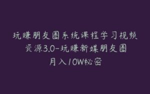 玩赚朋友圈系统课程学习视频资源3.0-玩赚新媒朋友圈月入10W秘密-宝藏资源殿