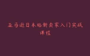 亚马逊日本站新卖家入门实战课程-宝藏资源殿