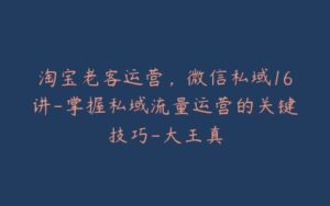 淘宝老客运营,微信私域16讲-掌握私域流量运营的关键技巧-大王真-宝藏资源殿