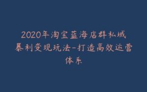2020年淘宝蓝海店群私域暴利变现玩法-打造高效运营体系-宝藏资源殿