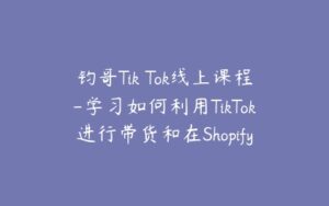 钧哥Tik Tok线上课程-学习如何利用TikTok进行带货和在Shopify上搭建电商店铺-宝藏资源殿