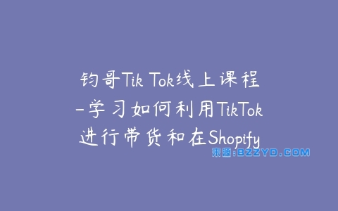 钧哥Tik Tok线上课程-学习如何利用TikTok进行带货和在Shopify上搭建电商店铺-宝藏资源殿