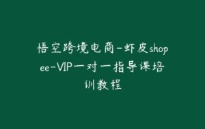 悟空跨境电商-虾皮shopee-VIP一对一指导课培训教程-宝藏资源殿