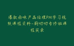 爆款卤味产品经理PM学习视频课程资料-厨叨叨专修班课程实录-宝藏资源殿