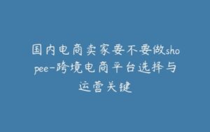 国内电商卖家要不要做shopee-跨境电商平台选择与运营关键-宝藏资源殿
