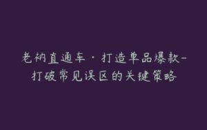 老衲直通车·打造单品爆款-打破常见误区的关键策略-宝藏资源殿