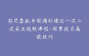 郭苁蓉抓牛股循环理论一次二次买点视频课程-股票投资高级技巧-宝藏资源殿