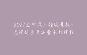 2022全新线上超级爆款-老陶拼多多运营系列课程-宝藏资源殿
