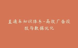 直通车知识体系-高效广告投放与数据优化-宝藏资源殿