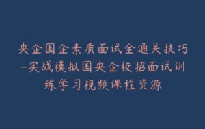 央企国企素质面试全通关技巧-实战模拟国央企校招面试训练学习视频课程资源-宝藏资源殿