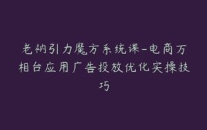 老衲引力魔方系统课-电商万相台应用广告投放优化实操技巧-宝藏资源殿