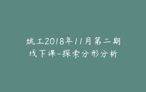 姚工2018年11月第二期线下课-探索分形分析-宝藏资源殿
