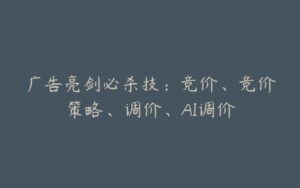 广告亮剑必杀技：竞价、竞价策略、调价、AI调价-宝藏资源殿