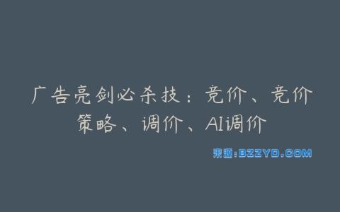 广告亮剑必杀技：竞价、竞价策略、调价、AI调价-宝藏资源殿