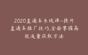 2020直通车系统课-提升直通车推广技巧,全面掌握高效流量获取方法-宝藏资源殿