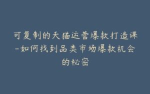 可复制的天猫运营爆款打造课-如何找到品类市场爆款机会的秘密-宝藏资源殿