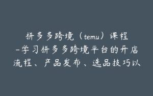 拼多多跨境(temu)课程-学习拼多多跨境平台的开店流程、产品发布、选品技巧以及提高销售-宝藏资源殿